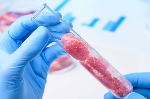 carne hecha en laboratorio